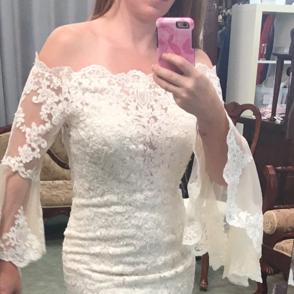 NWT Poet Sleeve Lace Blush/Ivory Wedding Dress - Picture 5 of 16